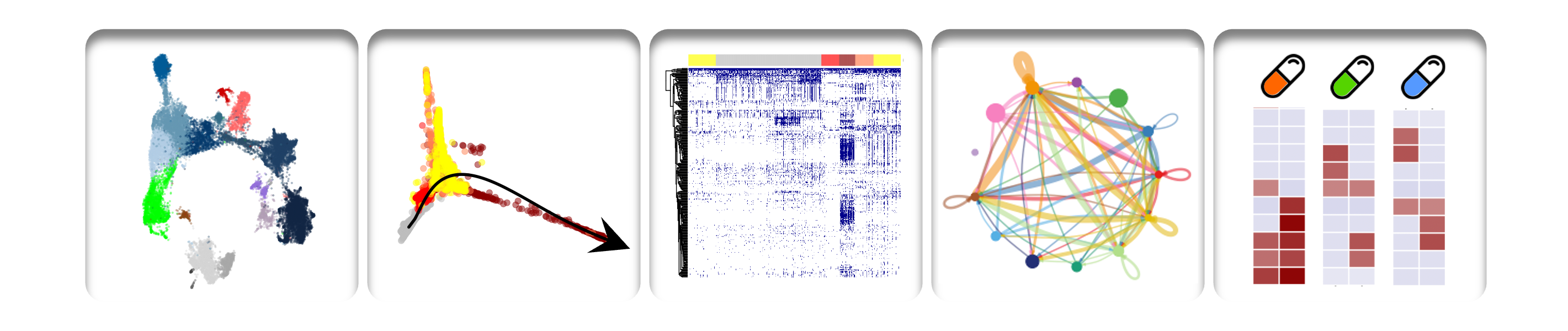 Fibroinflammatory niches in kidney disease